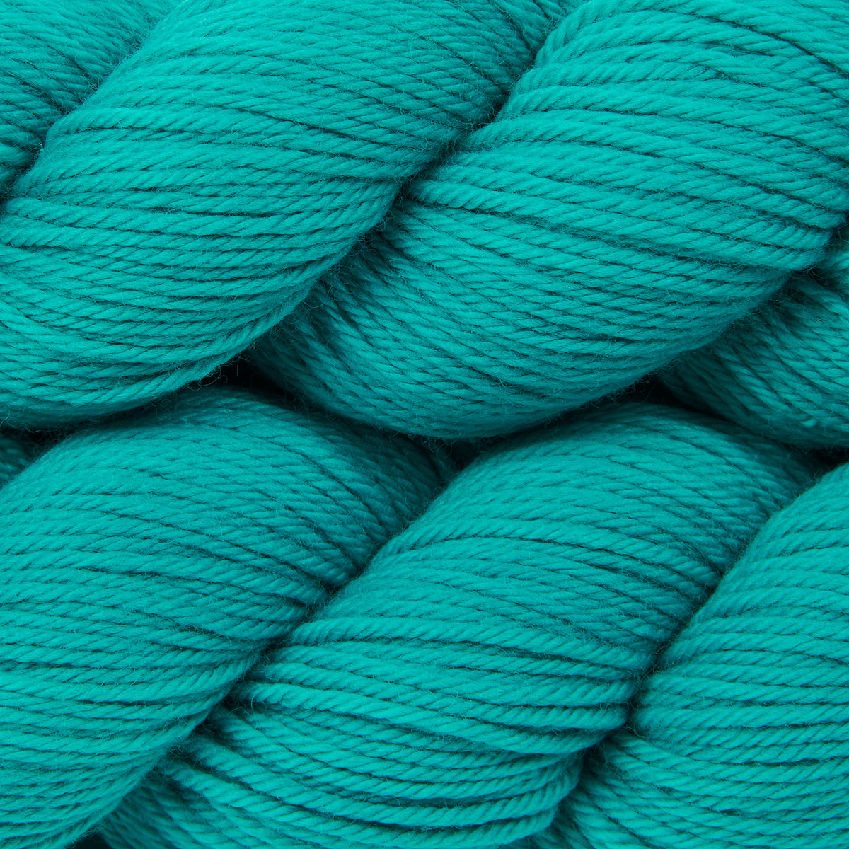 WICKED DK - OCEAN BREEZE