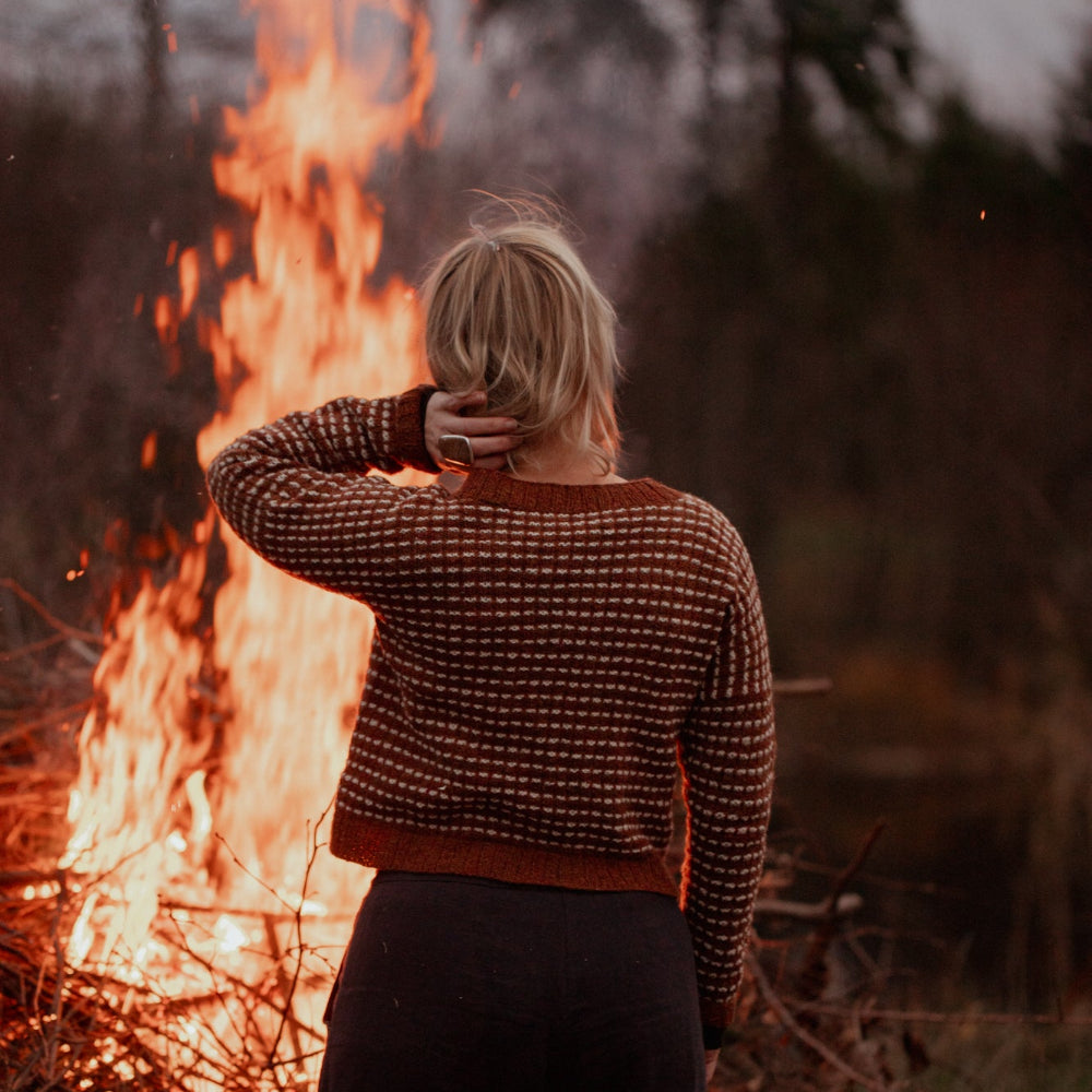 THE ISLAND AND THE FOREST by ERIKA ÅBERG &amp; LOTTA LÖTHGREN