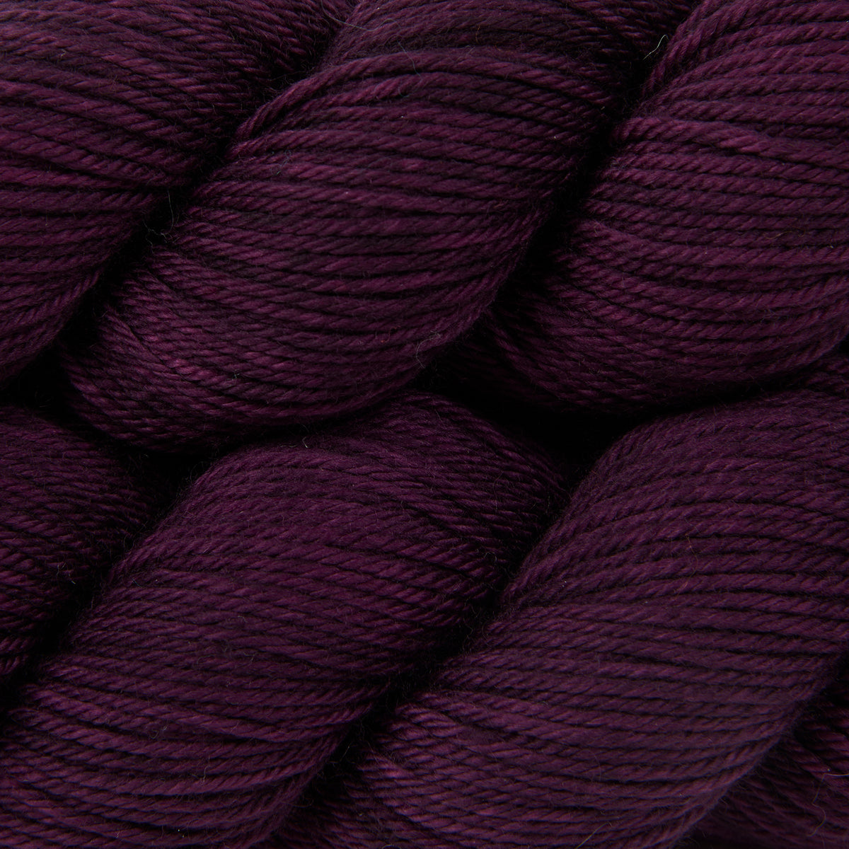 WICKED DK - AUBERGINE