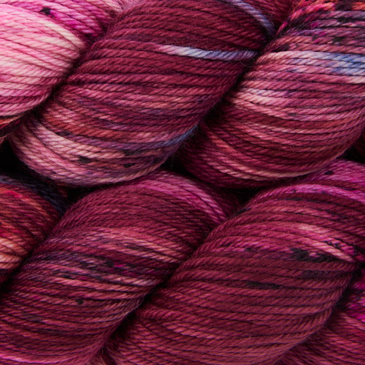 WICKED DK - CAPE COD