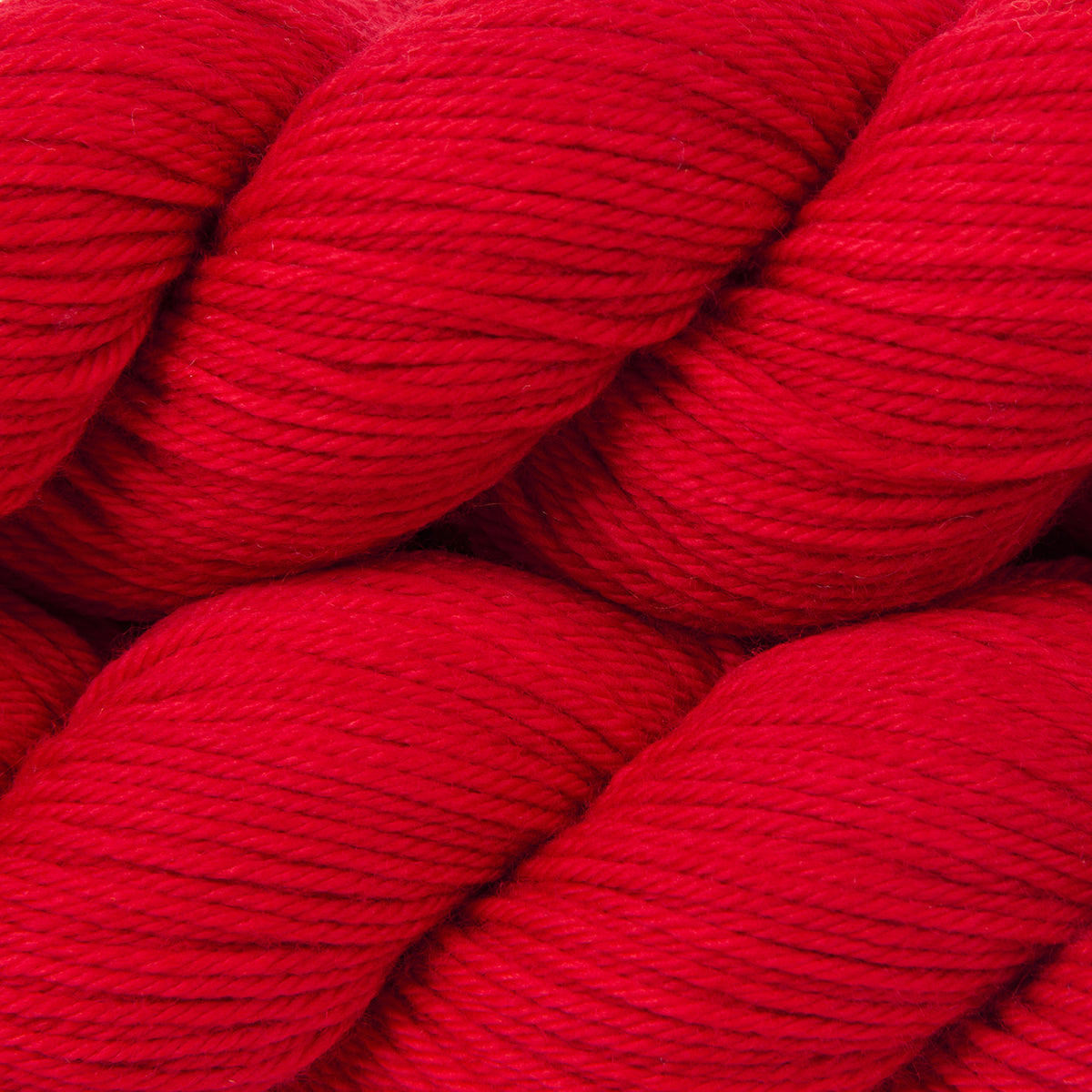 WICKED DK - CHERRY BLOSSOM