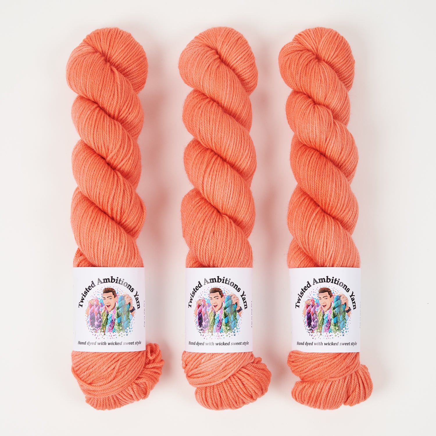 Twisted Ambitions WICKED DK - ONE SONG GLORY Merino wool DK coral Yarn
