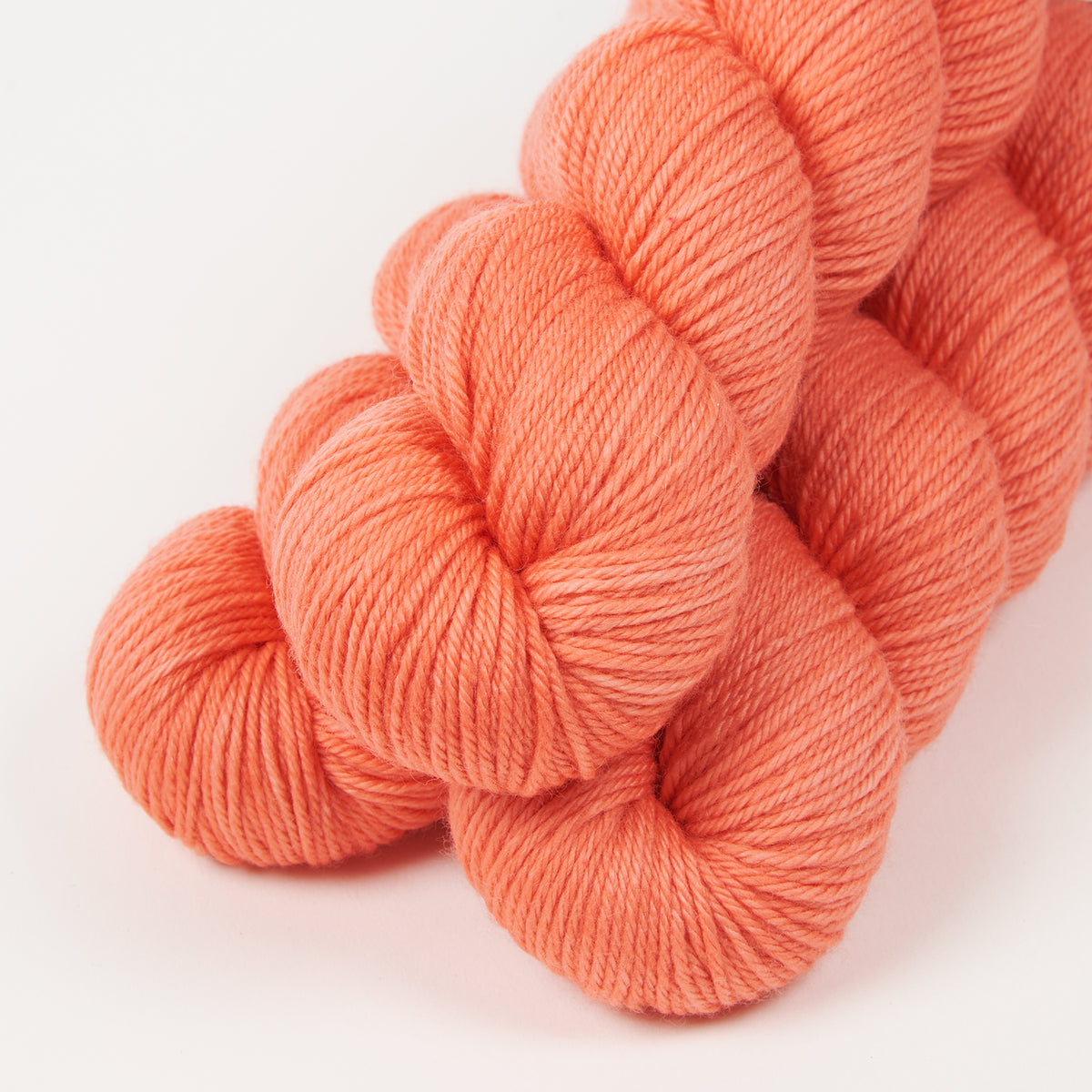 WICKED DK - ONE SONG GLORY