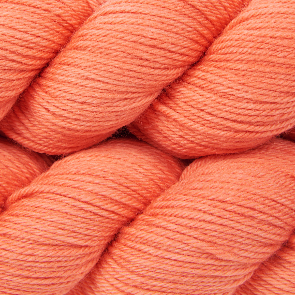 WICKED DK - ONE SONG GLORY