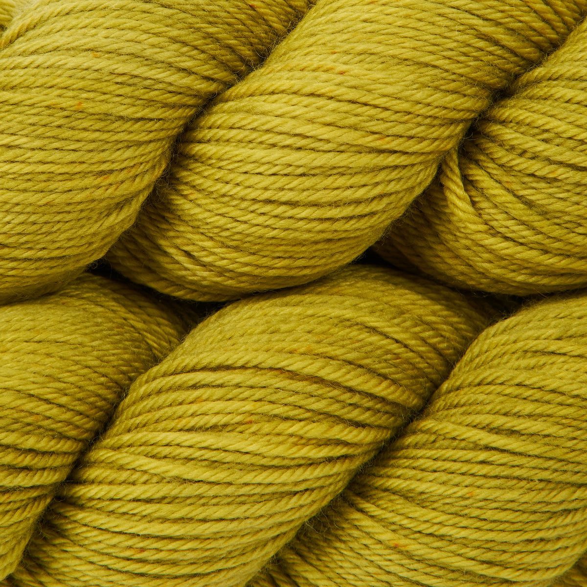 WICKED DK - TALL GREEN GRASS