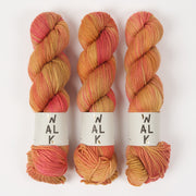 WALK Collection WALK MERINO DK - AUTUMN GLOW Merino wool DK orange Yarn