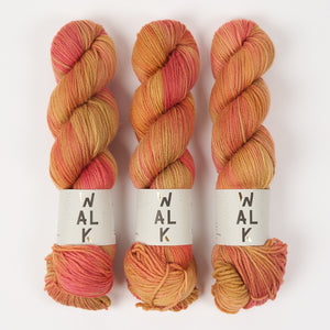 WALK MERINO DK - AUTUMN GLOW