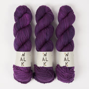 WALK Collection WALK MERINO DK - BLUEBERRY JUICE Merino wool DK purple Yarn