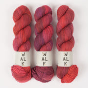 WALK Collection WALK MERINO DK - OXBLOOD Merino wool DK red Yarn