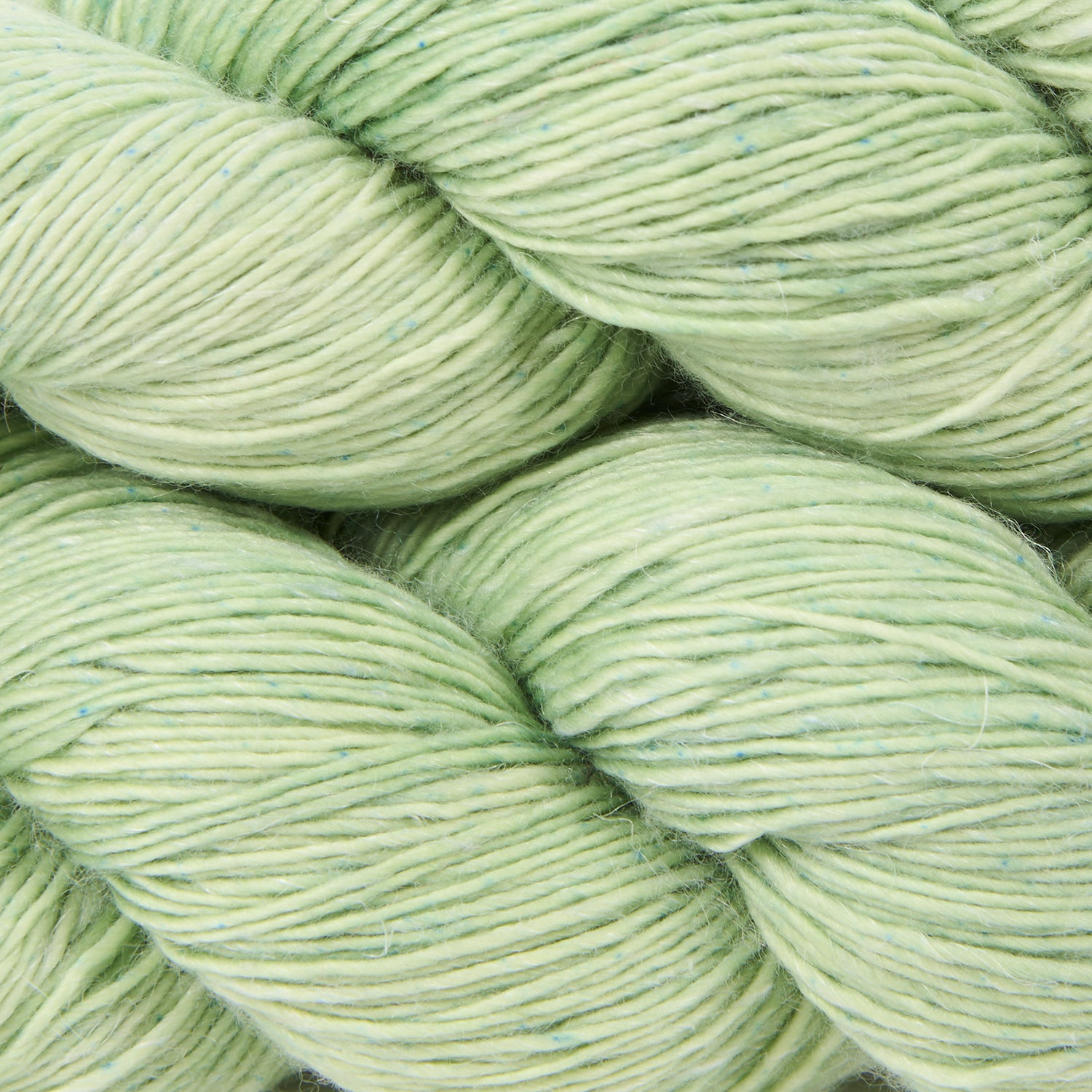 Merlino - Fern