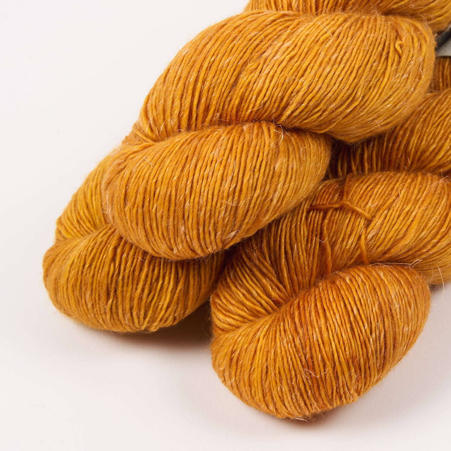 MERLINO - PUMPKIN
