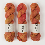 WALK Collection COTTAGE MERINO - AUTUMN GLOW Merino wool Fingering orange Yarn