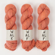 WALK Collection COTTAGE MERINO - JELLYFISH Merino wool Fingering coral Yarn