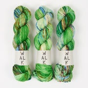 WALK Collection WALK MERINO DK - RONJA Merino wool DK multicolour Yarn