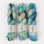 WALK Collection WALK MERINO DK - AQUARIUS Merino wool DK blue multicolour Yarn