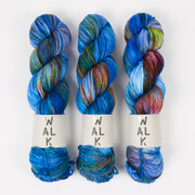 WALK Collection WALK MERINO DK - ARA Merino wool DK multicolour blue Yarn