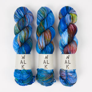 WALK MERINO DK - ARA