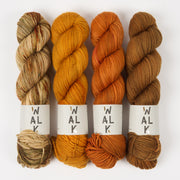 WALK Collection PUMPKIN SQUIRREL Merino wool DK Quick Kits
