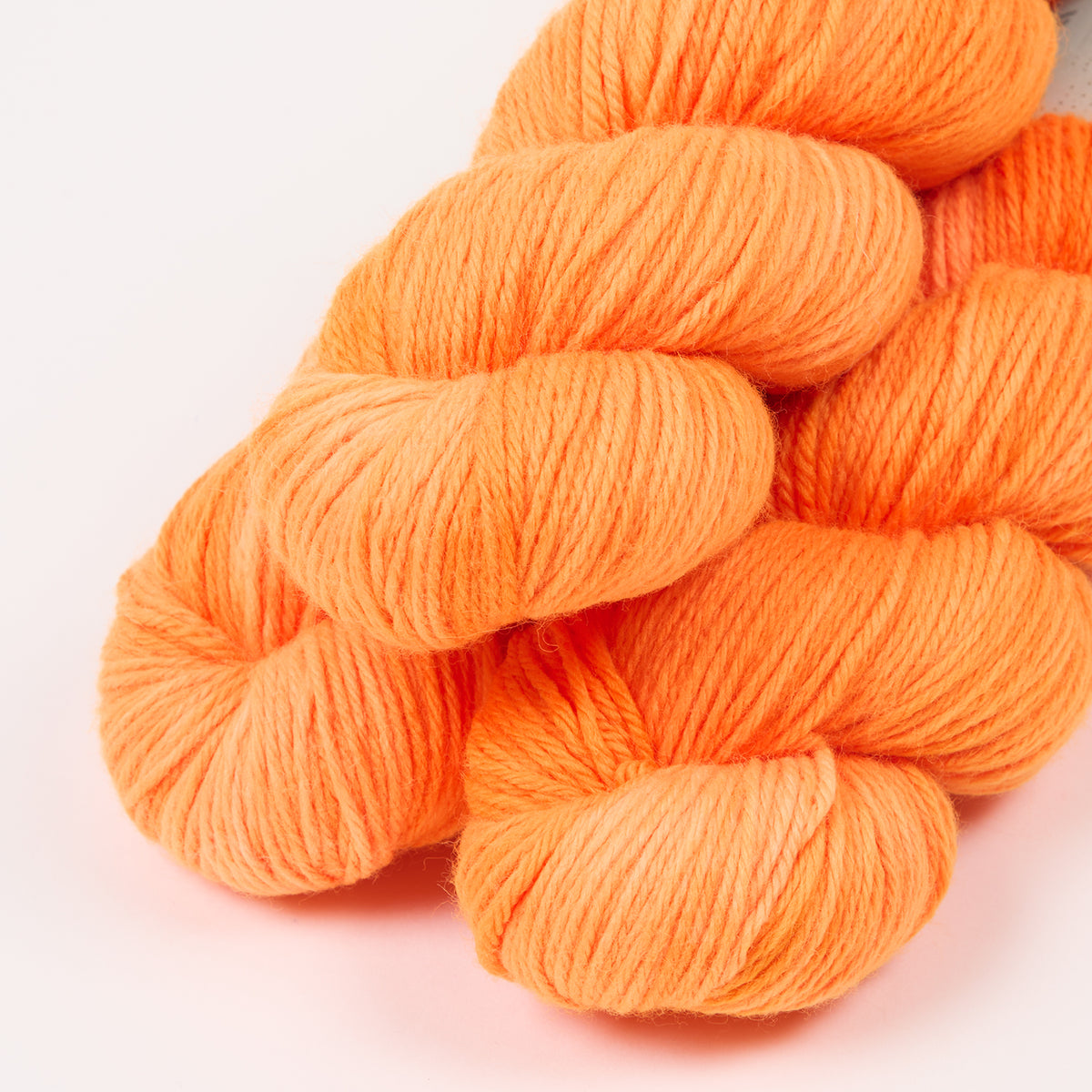 WALK MERINO DK - ORANGE PUNCH