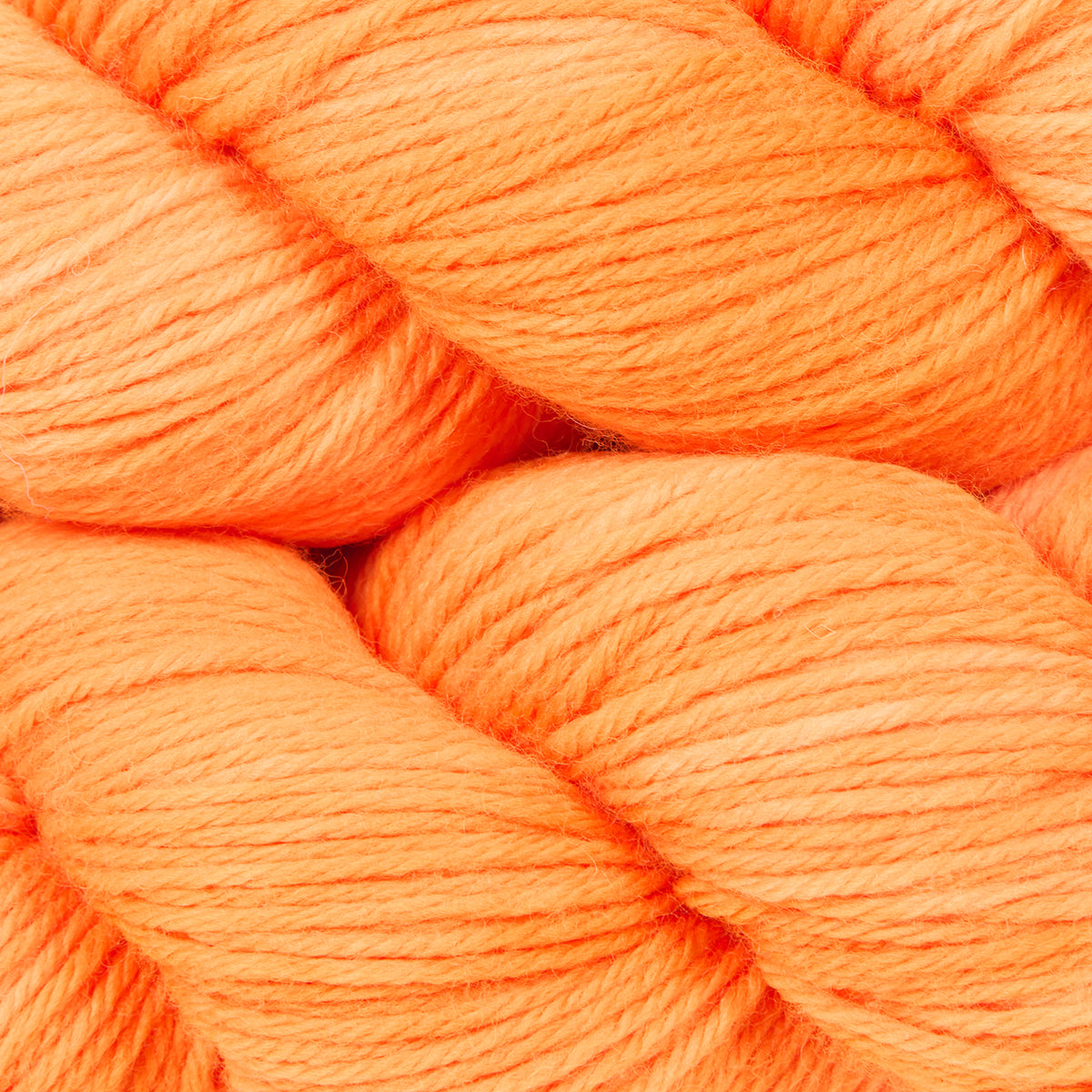 WALK MERINO DK - ORANGE PUNCH