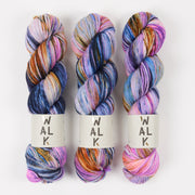 WALK Collection WALK MERINO DK - SAGITTARIUS Merino wool DK blue multicolor Yarn