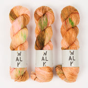 WALK Collection MERLINO - ARIES Merino wool Linen Fingering orange multicolour Yarn