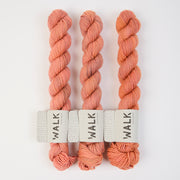 WALK Collection TOUGH SOCK MINI - JELLYFISH Merino wool Nylon Fingering coral Yarn
