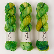 WALK Collection WALK MERINO DK - GEMINI Merino wool DK green multicolour Yarn