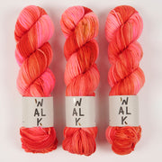 WALK Collection WALK MERINO DK - LEO Merino wool DK Yarn