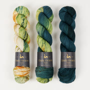 Dark Omen Yarn PRE-ORDER: AMSTERDAM MAGIC Merino wool Nylon Fingering green Westknits Kits