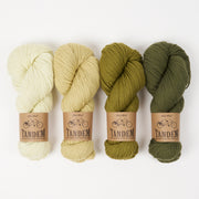 West Wool SUCCULENT CONIFER Merino wool DK Quick Kits