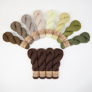 West Wool SUCCULENT BRICKS Fingering Quick Kits