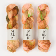 WALK Collection COTTAGE MERINO - ARIES Merino wool Fingering orange multicolour Yarn