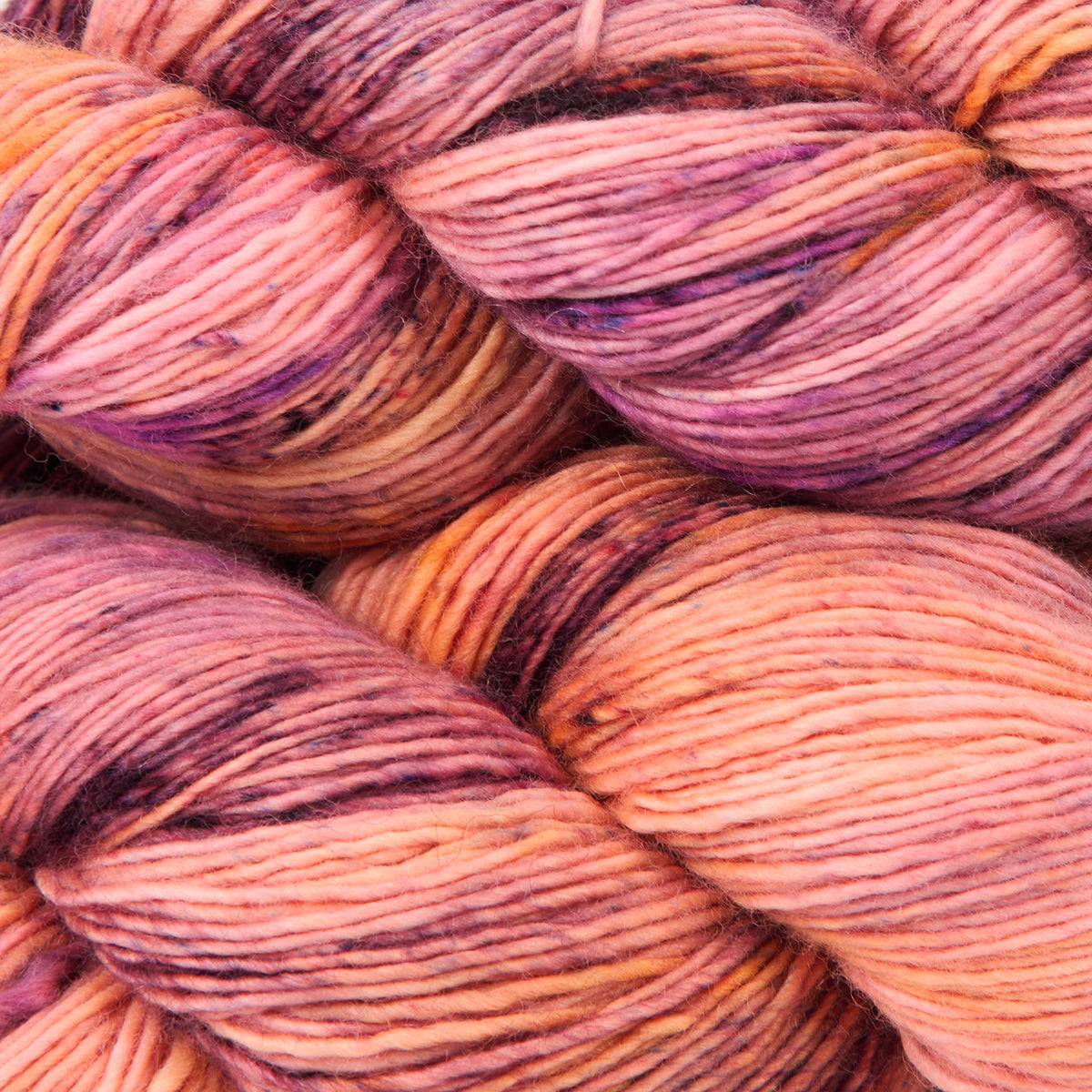 COTTAGE MERINO - SCORPIO