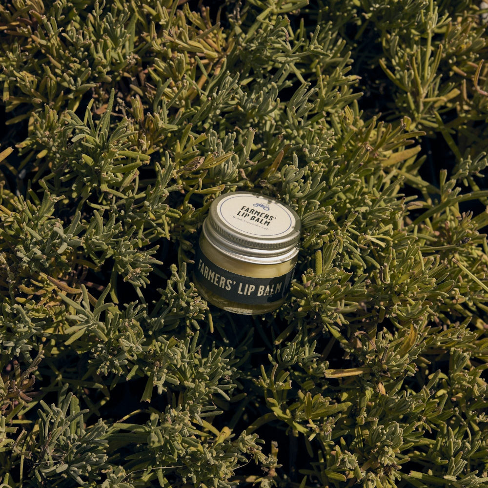 FARMERS' LIP BALM