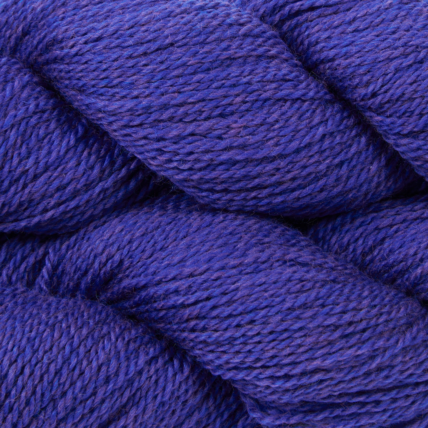Bicycle - Cobalt