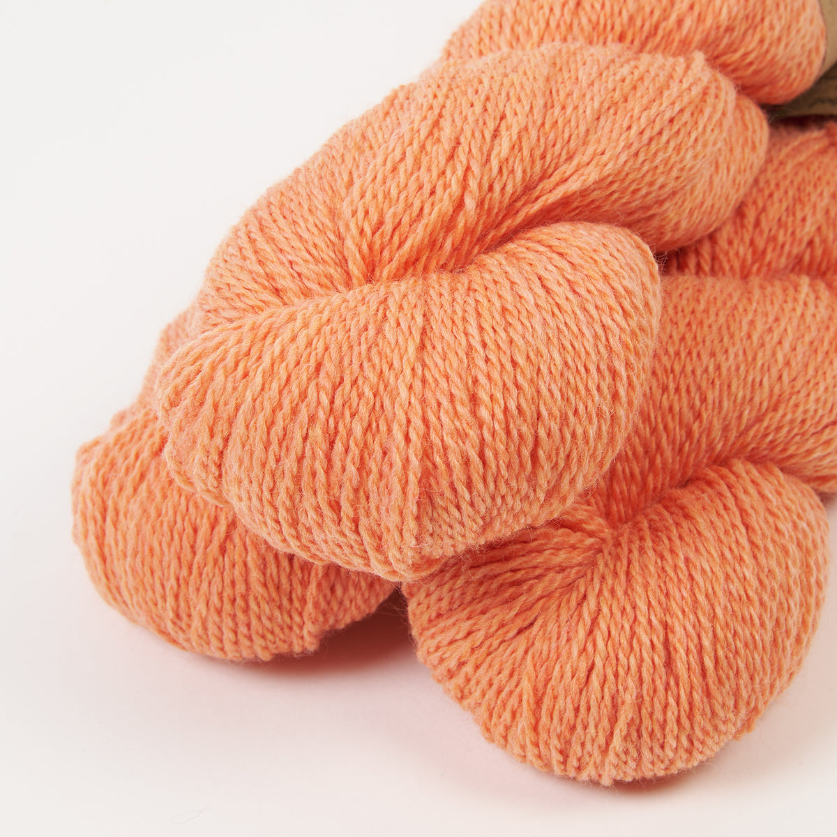 BICYCLE - GRAPEFRUIT