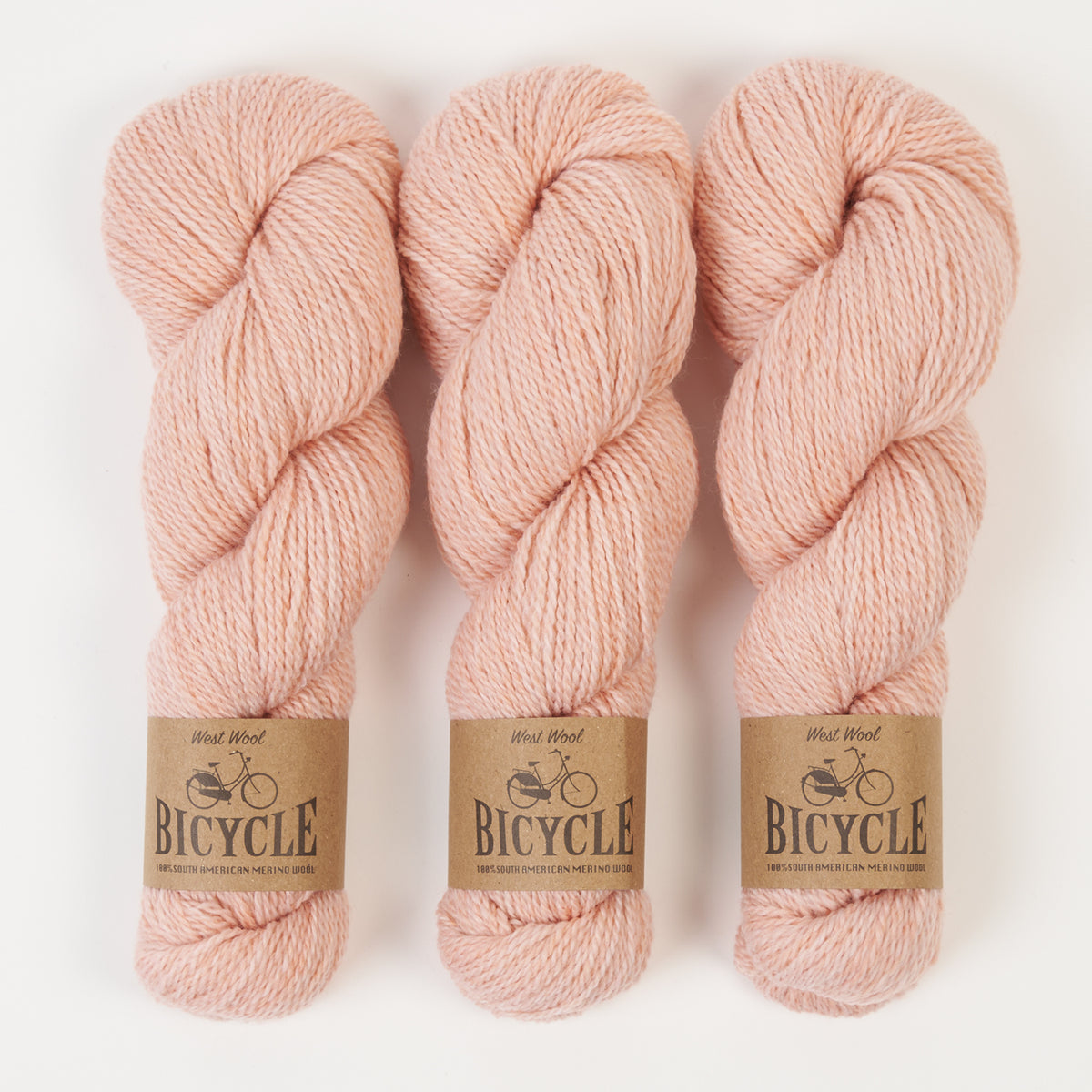 BICYCLE - MACAROON