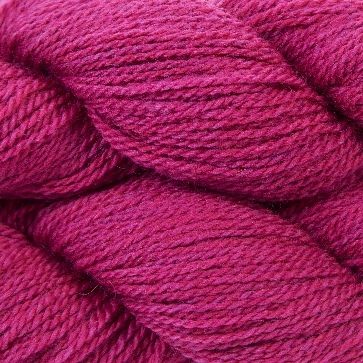Bicycle - Magenta