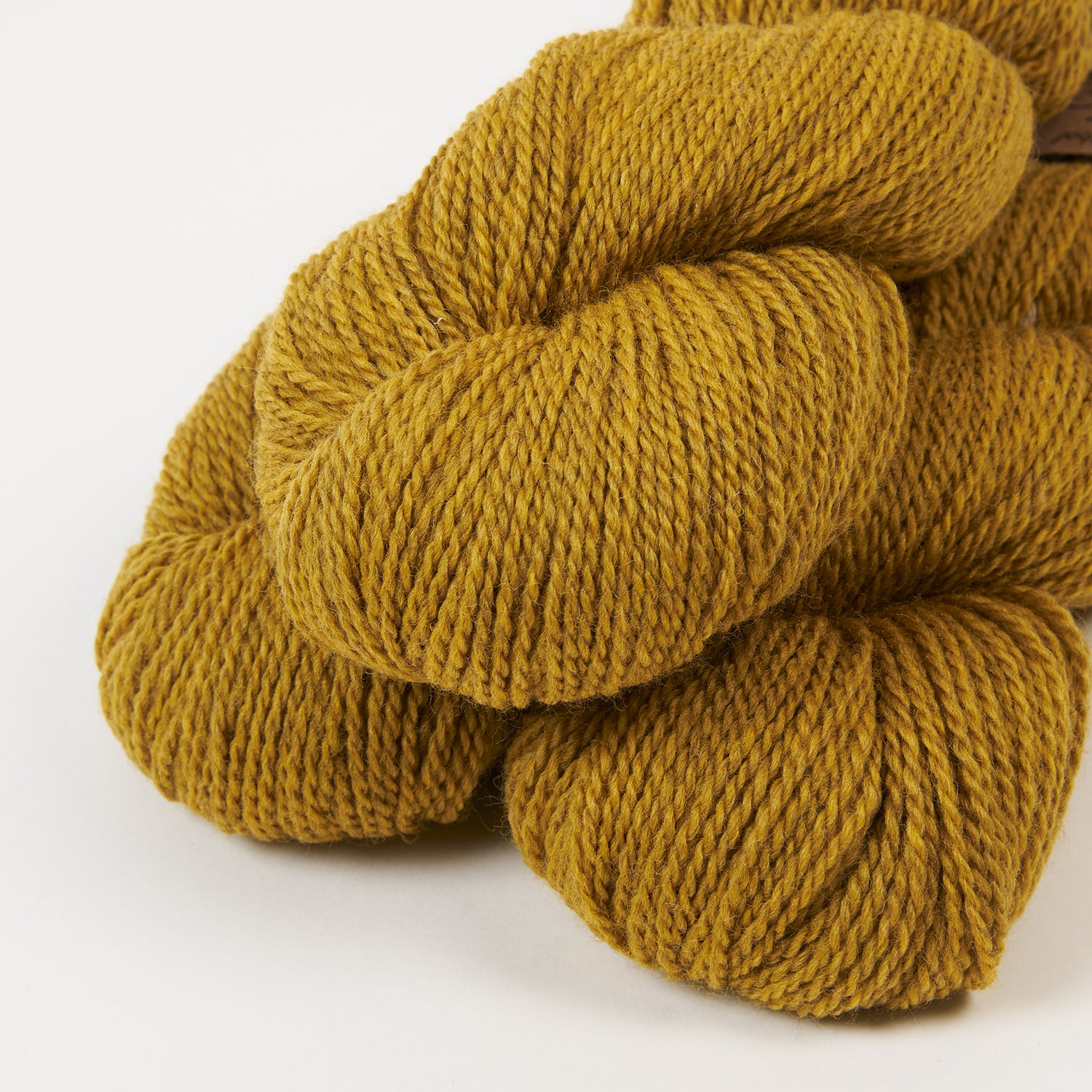 BICYCLE - OCHRE
