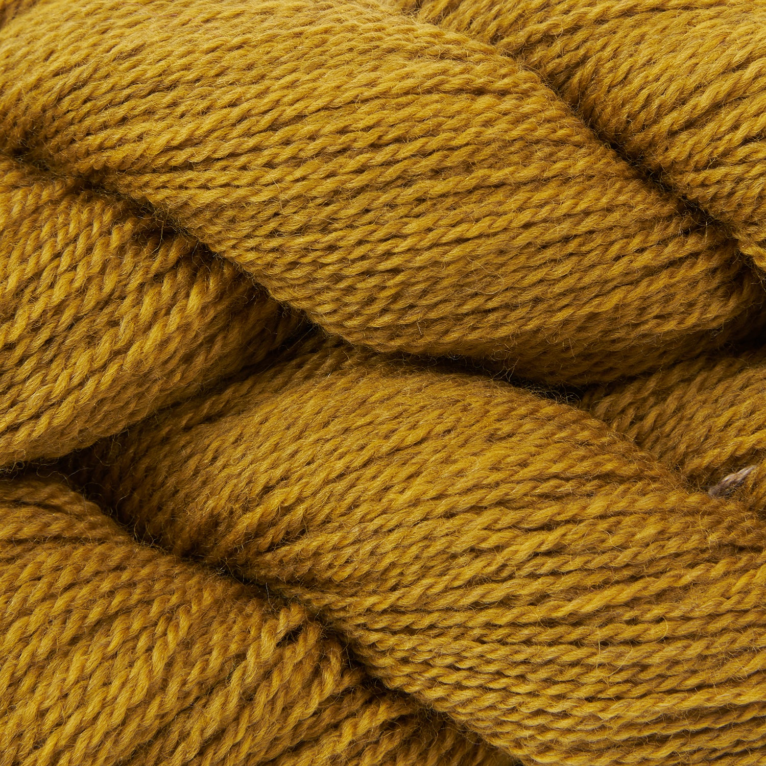 BICYCLE - OCHRE