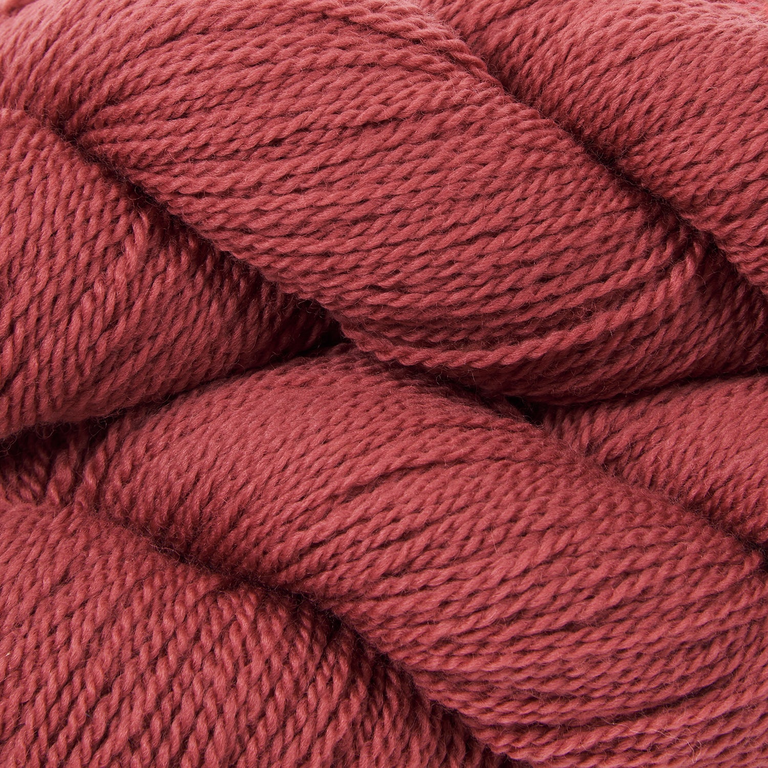 Bicycle - Rhubarb