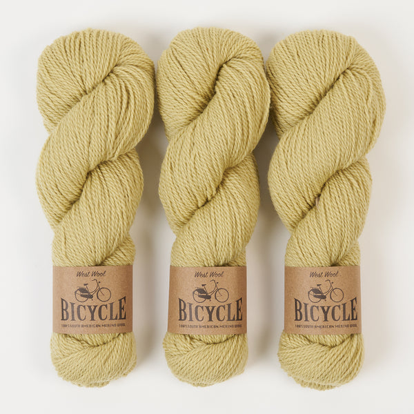 succulent yarn BICYCLE