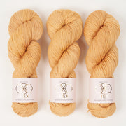 West Wool HEX - TARTLET Merino wool Nylon Fingering yellow Yarn