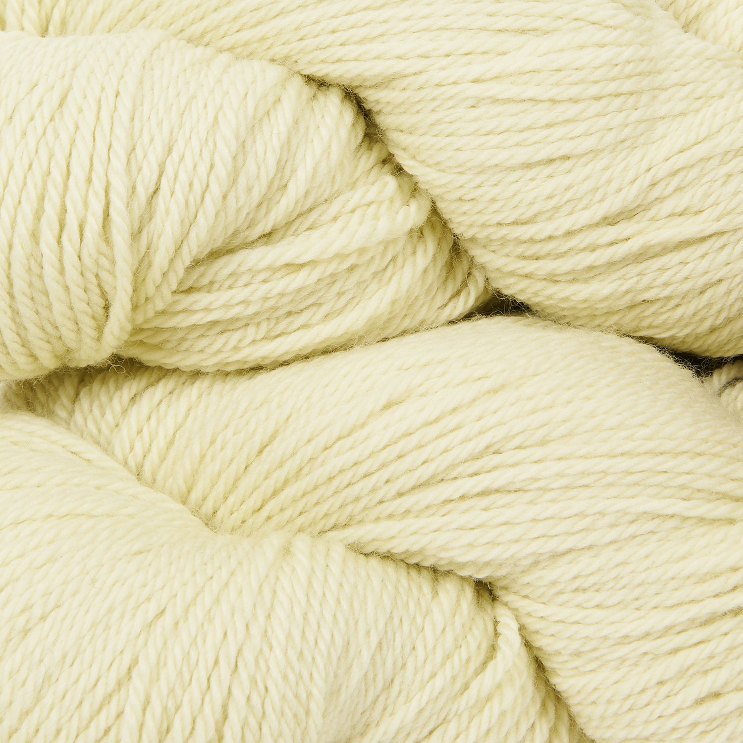 TANDEM - CELERIAC