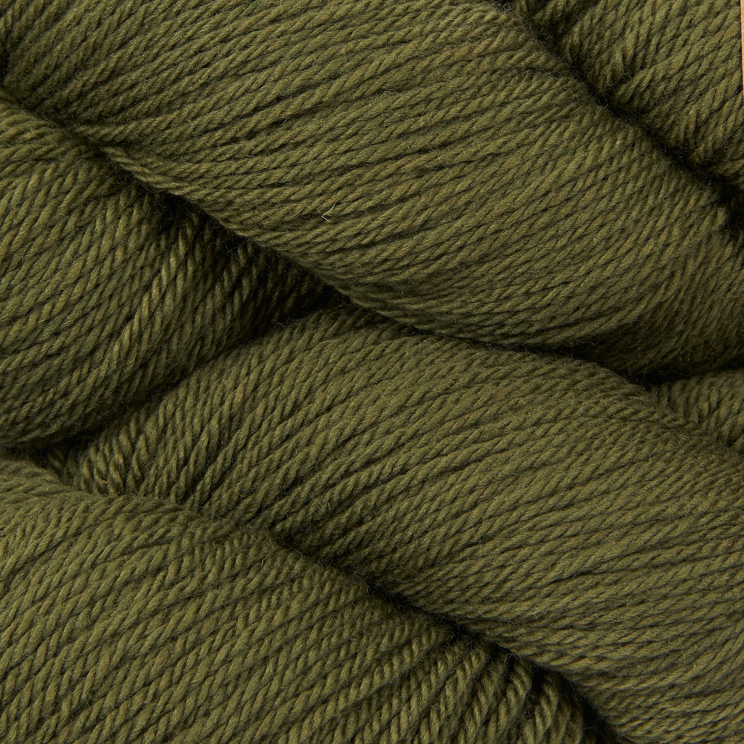 Tandem - Conifer