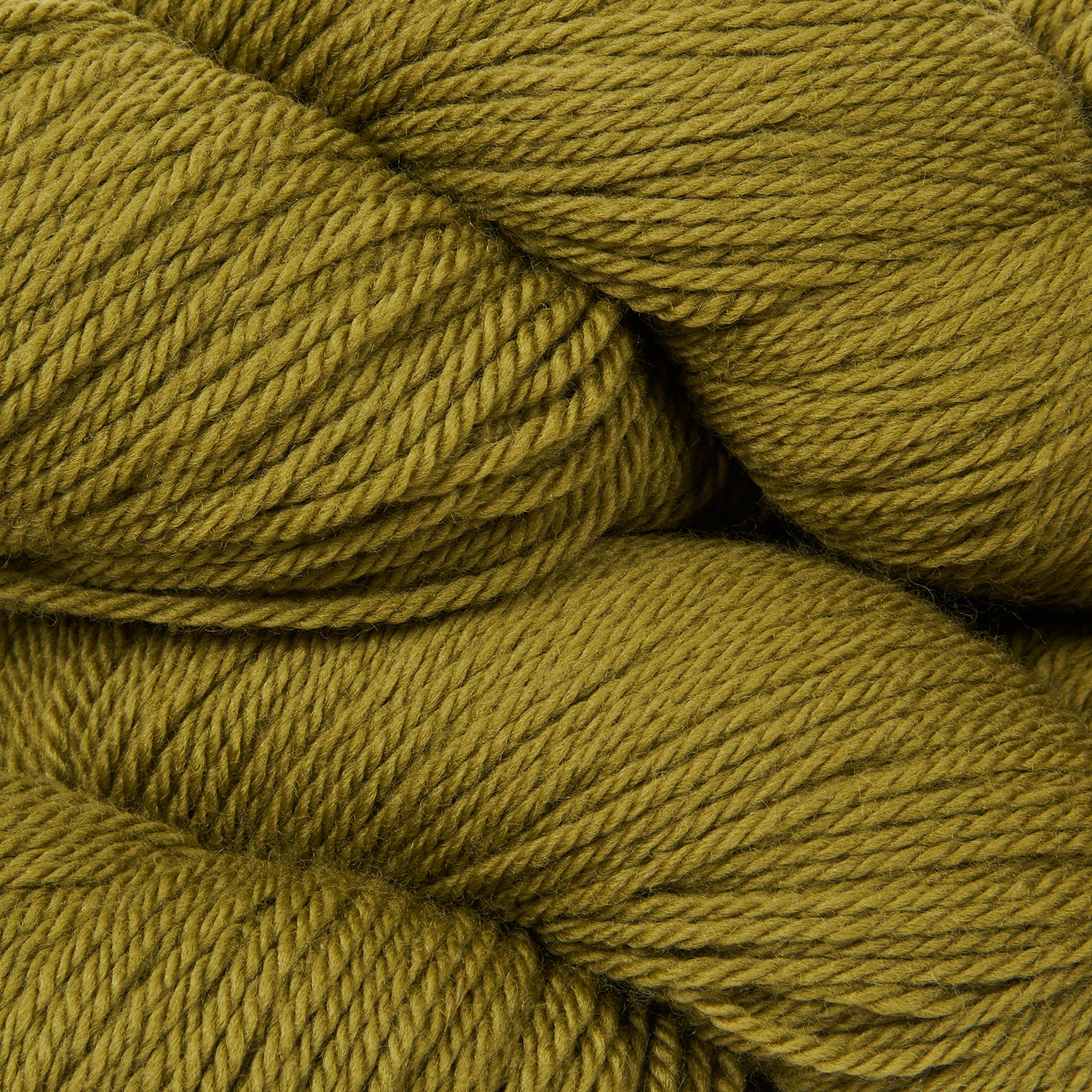 Tandem - Fern