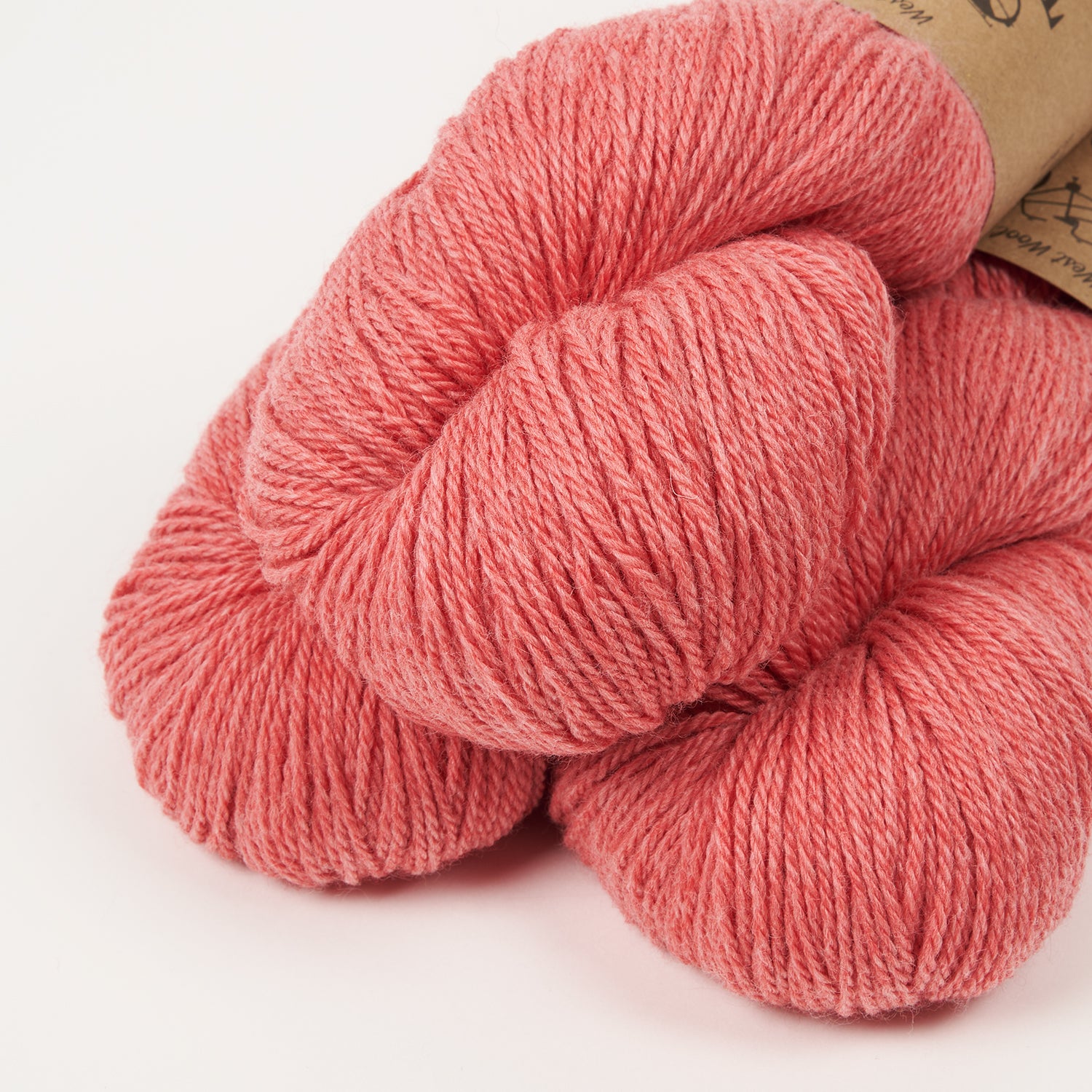 TANDEM - HIBISCUS
