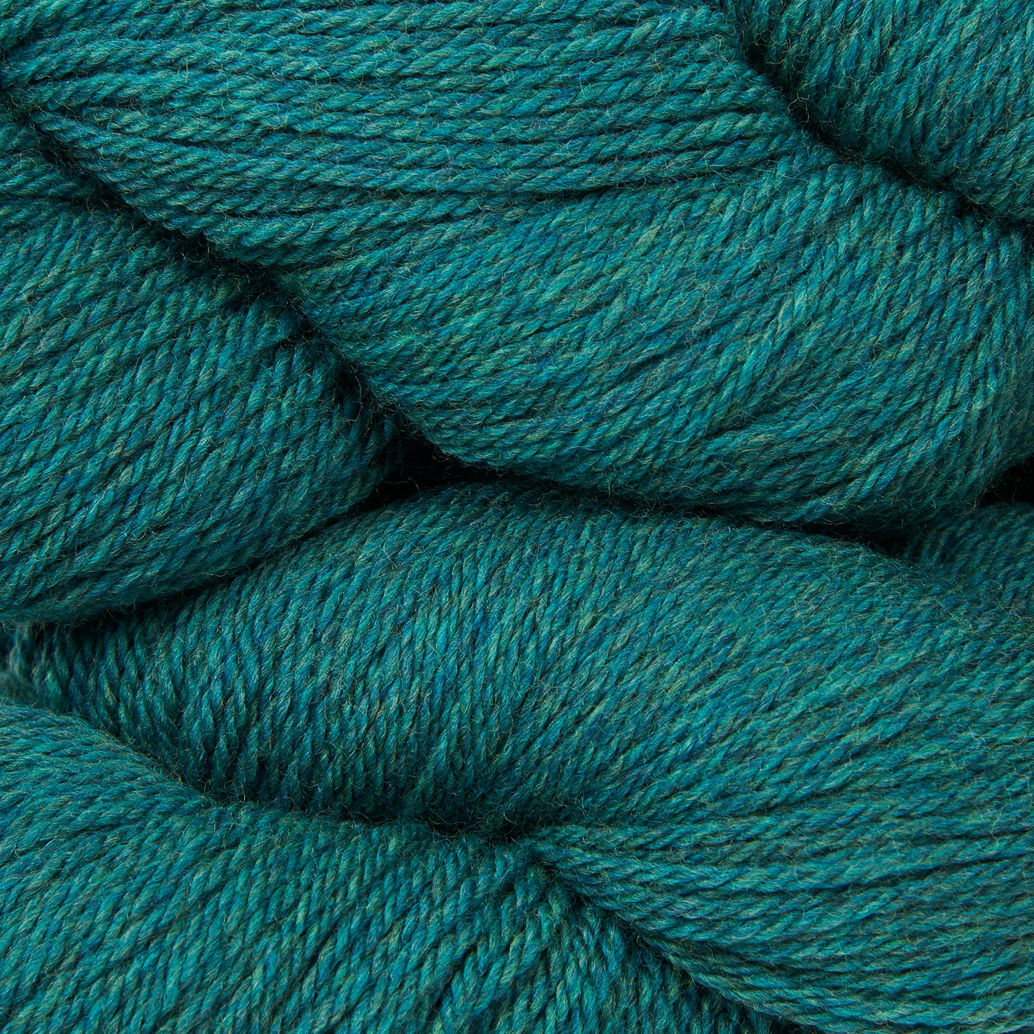 Tandem - Mallard