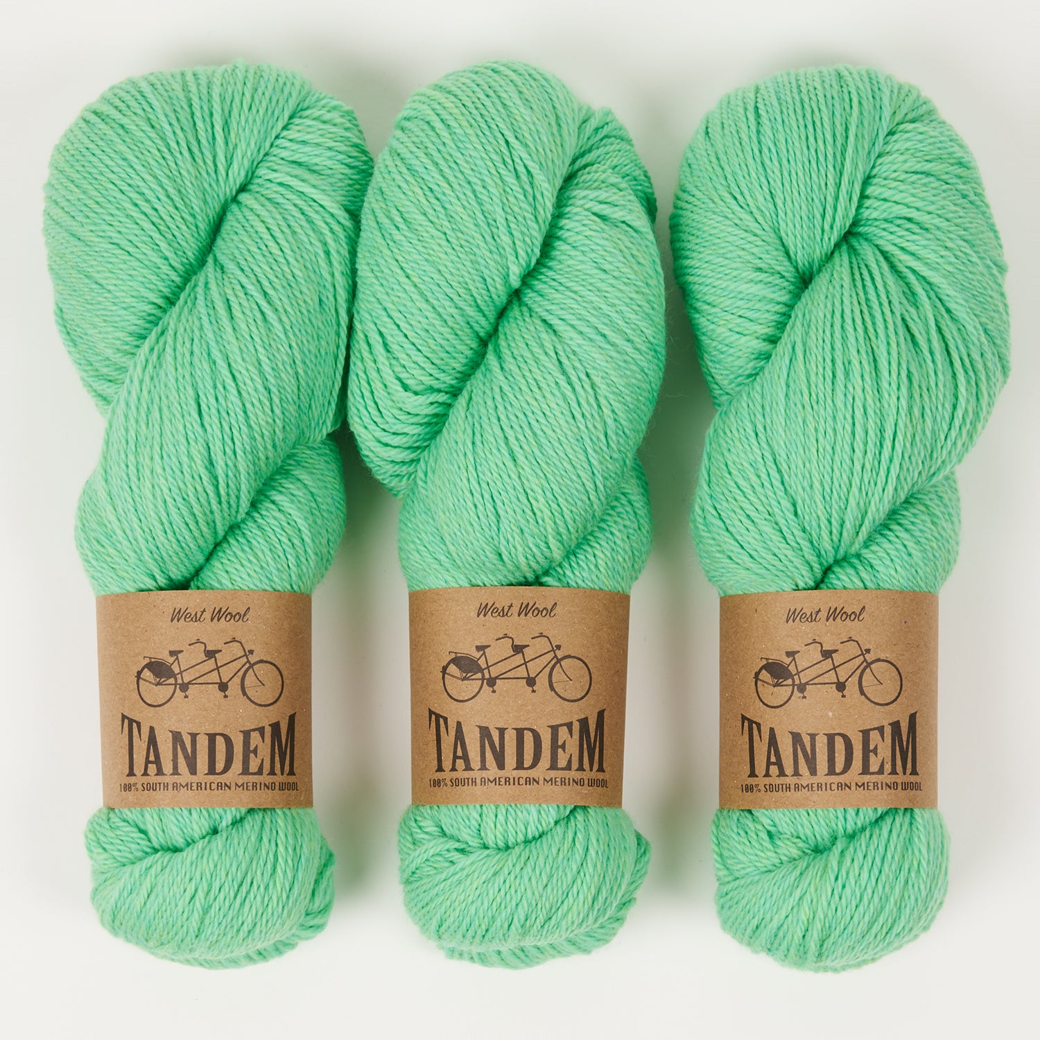 West Wool TANDEM - MINTY Merino wool DK green Yarn